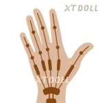 Articulated Fingers 1.0