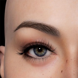 Draw Eyebrow