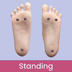 Standing(With Bolts)