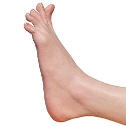 Movable Toes