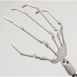 Ball Jointed Hand Skeleton