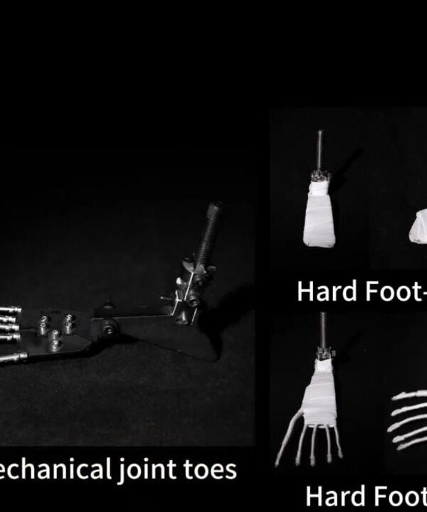 XTDoll Jointed Toes