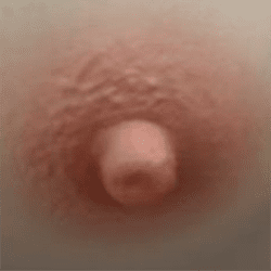 No.2