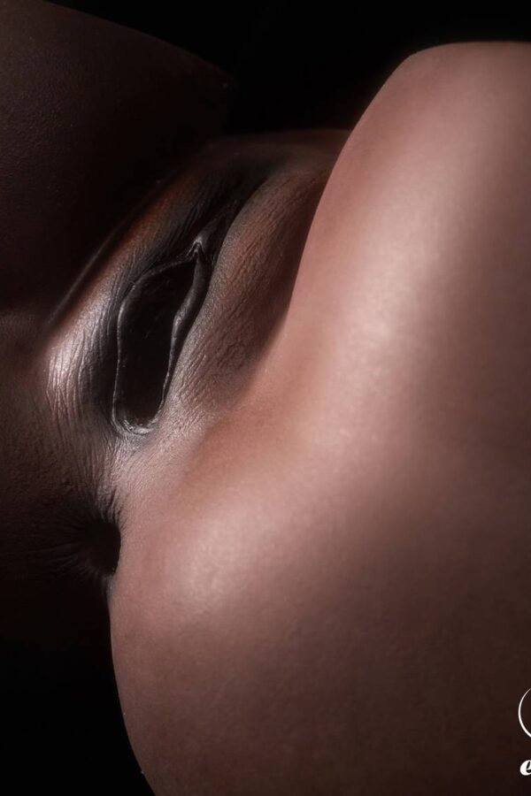 ClimaxDoll-2448-rs-6 butt torso(cocoa)14