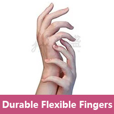 DFF(Durable Flexible Fingers)