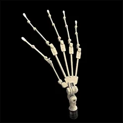 Grace Joint Skeleton