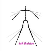 Loose Skeleton