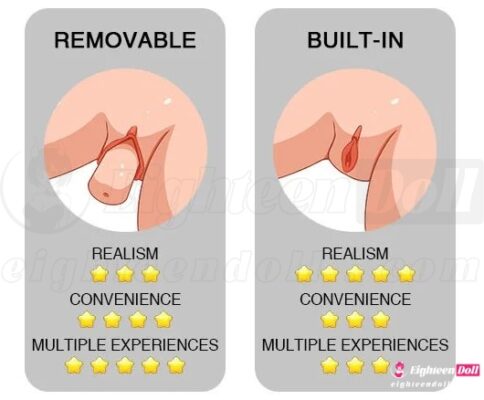Vagina-Built-in and Removable
